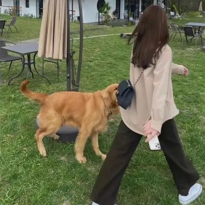 都柏林制造